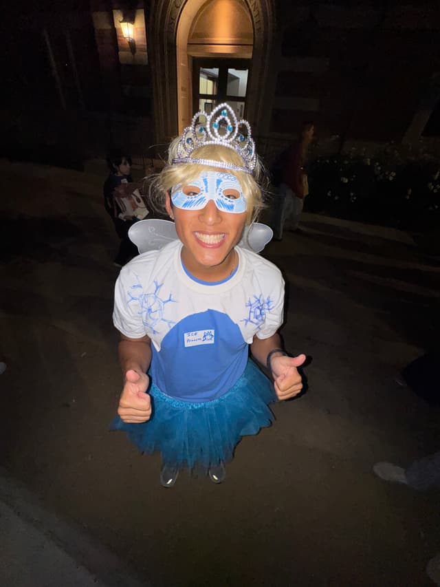 Ice Princess Halloween Costume